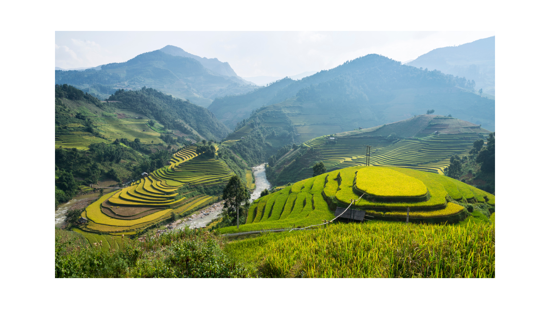 Vietnam Highland